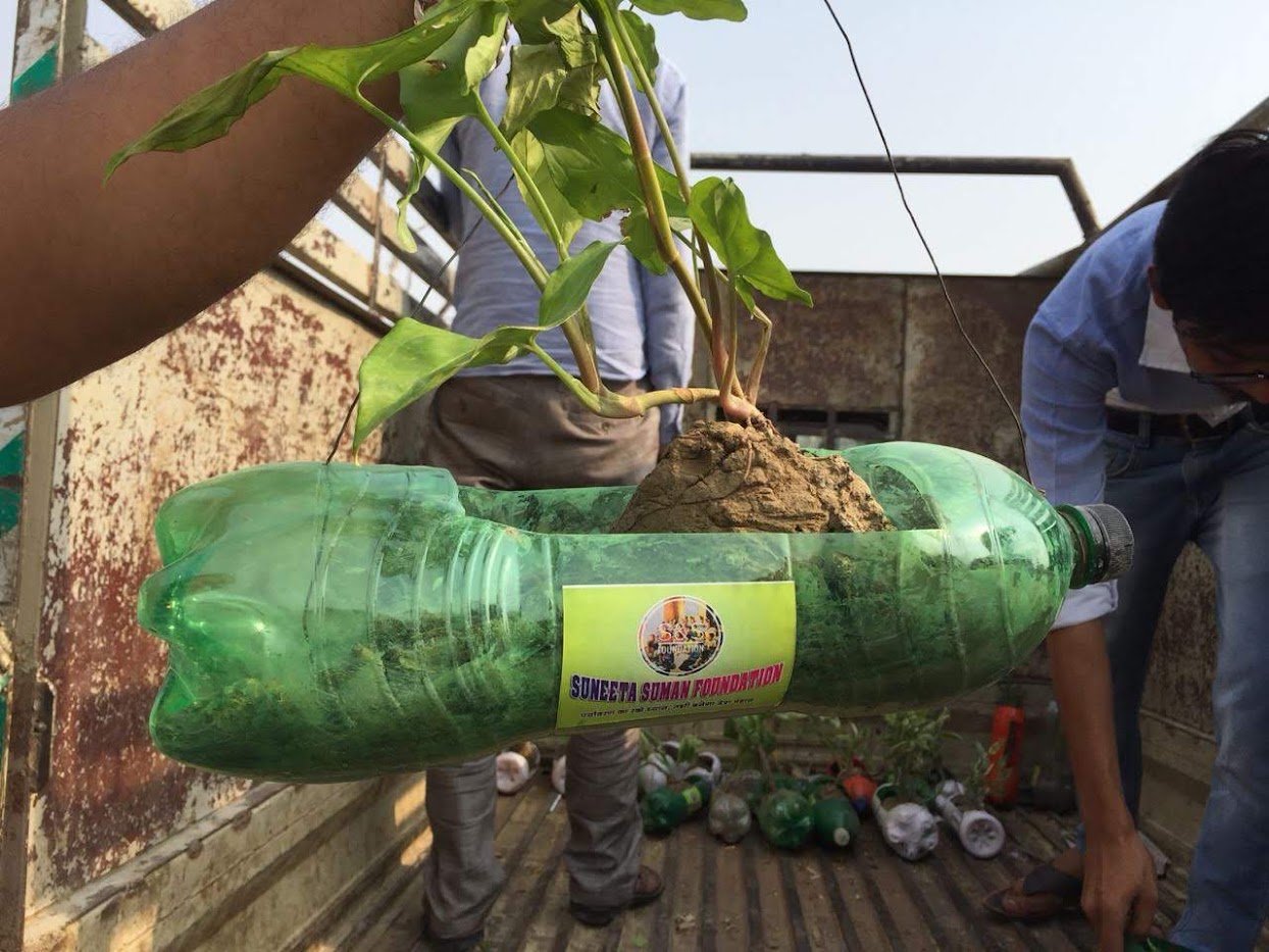 Plantation Drives: Where Learning Meets Action